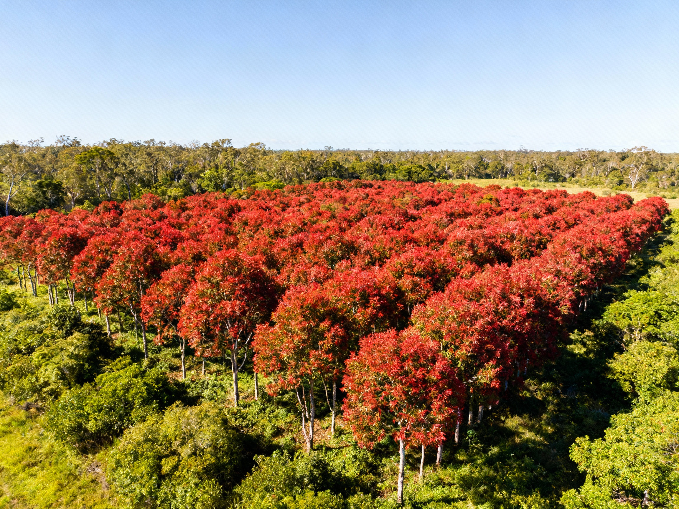 The Most Inspiring Interior Design Of 2021